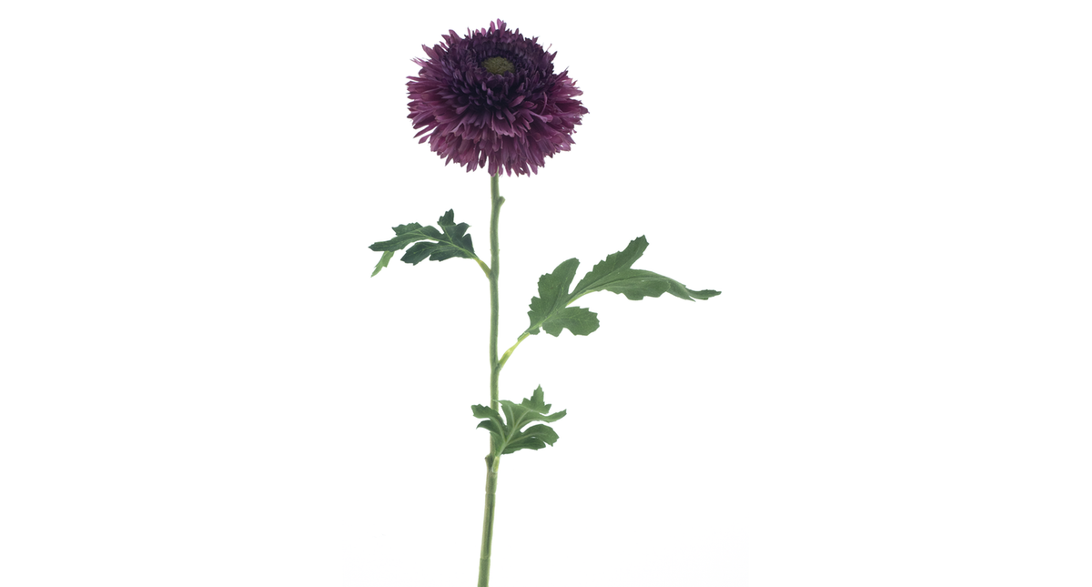 Wild gerbera spray purple 67cm