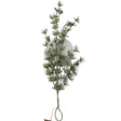 Dijk natural collections dennentak 62x25x9cm groen dennentak 62x25x9cm groen