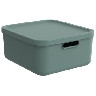 Rotho decoratie opbergbox albula light 20 l mistletoe groen