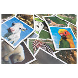 Tactic memo babydieren - memospel - zoek de juiste paren - schattige jonge dieren van over de hele wereld - educatief gezelschapsspel voor kinderen en families - 2 tot 6 spelers - vanaf 3 jaar