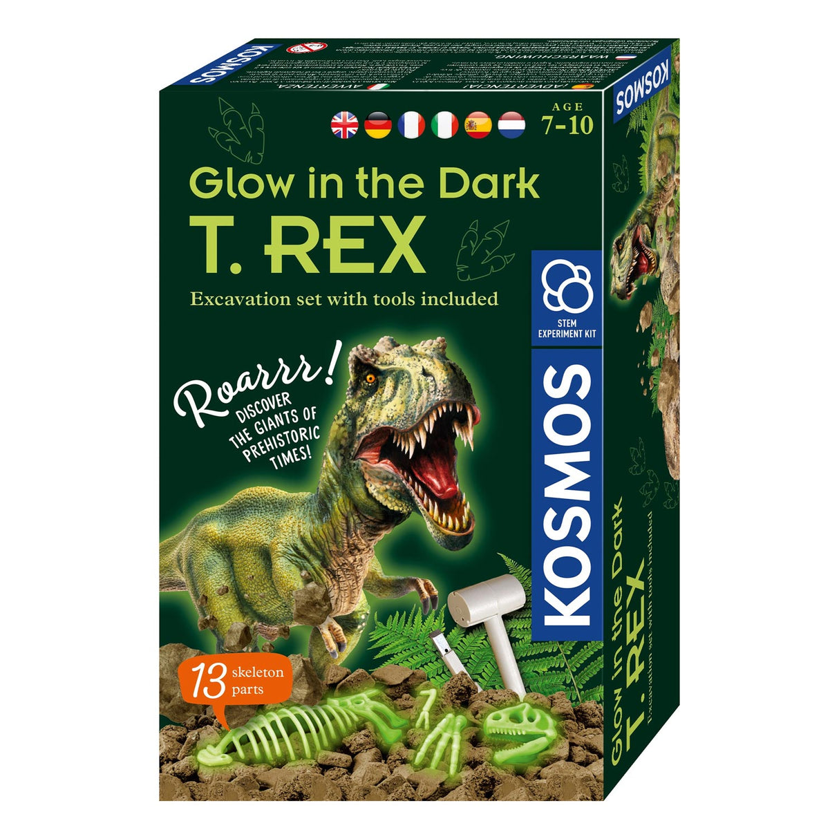 Kosmos brille dans le bikken T-Rex sombre