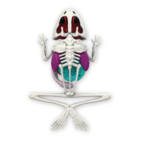 Silverlit slimy lab dissect-it - ontleed een kikker