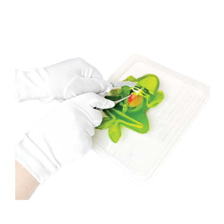 Silverlit slimy lab dissect-it - ontleed een kikker