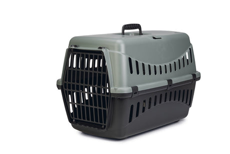 Beeztees gipsy reismand kat - transportbox kat klein huisdier - afneembare bovenkant groen zwart - l - 58x38x38 cm l