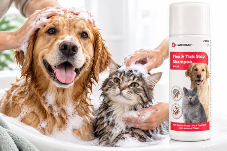 Flamingo vlooien shampoo hond – batali vlo teek stop shampoo 200ml – anti-parasietenshampoo – tegen vlooien – teken en mijten – met dimethicone – zonder insecticide – geschikt vanaf 3 maanden – gemaakt in europa