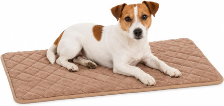 Flamingo hondenkussen - orthopedisch hondenkussen - benchkussen memory foam - weimar beige s - premium comfort voor hondenbench - antislip - 70,5cm s