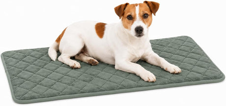 Flamingo hondenkussen - orthopedisch hondenkussen - benchkussen memory foam - weimar groen s - premium comfort voor hondenbench - antislip - 70,5cm s