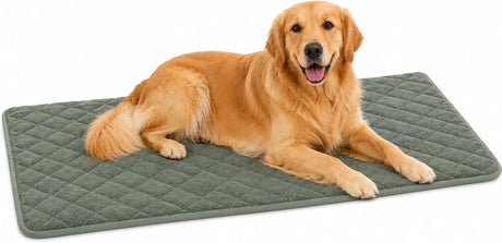 Flamingo hondenkussen - orthopedisch hondenkussen - benchkussen memory foam - weimar groen xl - extra groot comfortabel hondenkussen - 116cm xl