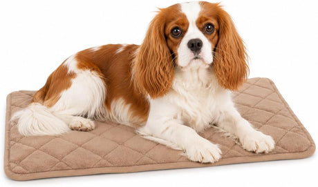 Flamingo hondenkussen - orthopedisch hondenkussen - benchkussen memory foam - weimar beige xs - hoogste kwaliteit ligcomfort - antislip - 55,5cm xs