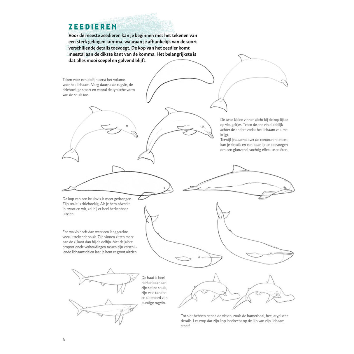 Deltas Learn to draw animals step by step