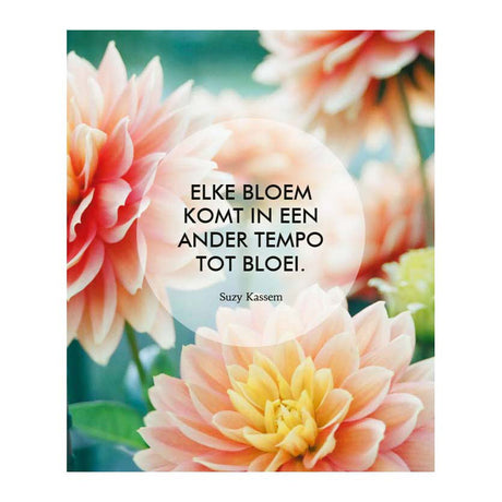 Deltas geloof in jezelf! - 52 inspiratiekaarten