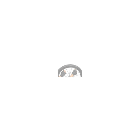 Topeak Bandenlichter Lever X