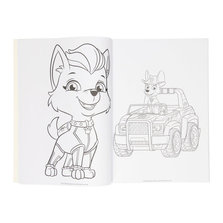 Wins holland kleurboek paw patrol, 128blz.