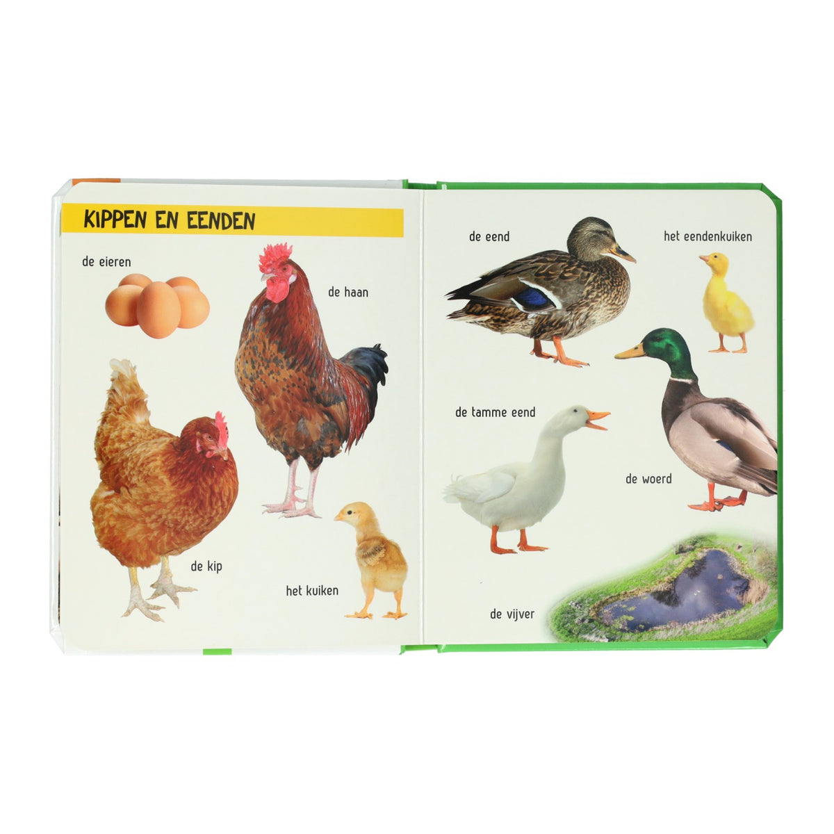 Wins holland kijk eens wat zie je daar? de boerderij