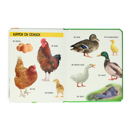 Wins holland kijk eens wat zie je daar? de boerderij