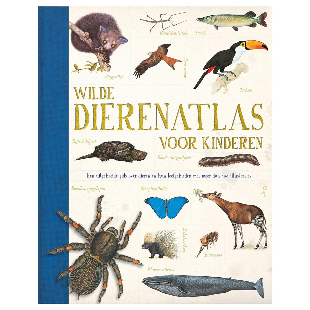 Rebo Publishers Wild Diereatlas für Kinder