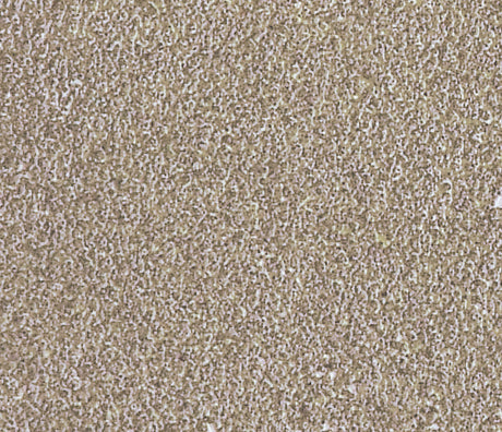 Ranger ink ranger • tim holtz distress mini ink pad frayed burlap