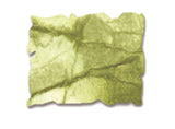 Ranger ink ranger • tim holtz distress spray stain peeled paint