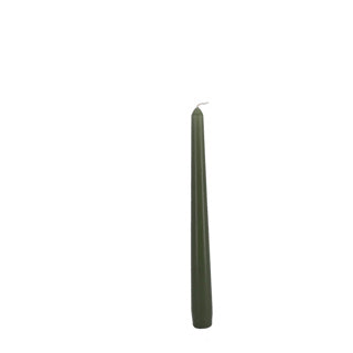 Bolsius gotische kaarsen 245 24 doos 4 fresh olive | 4 stuks