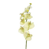 No brand kunst bloem orchidee creme 85 cm