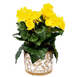 No brand pot olea cylinder bruin 11 cm | 6 stuks