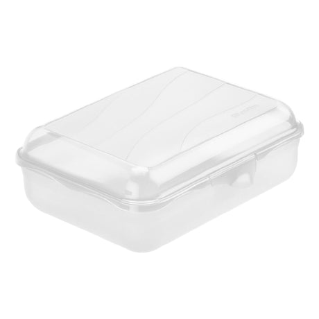 Rotho lunchbox fun 1,25 l (20 x 14 x 6 cm) transparant 1250 ml