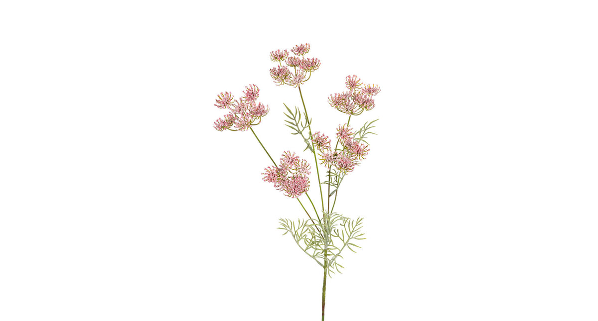 Wildwortel l80cm roze