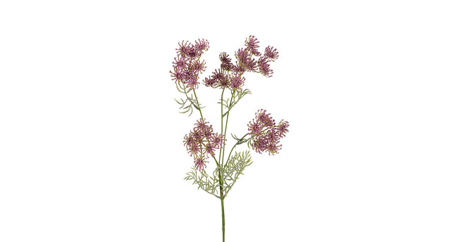 Wildwortel l80cm lila