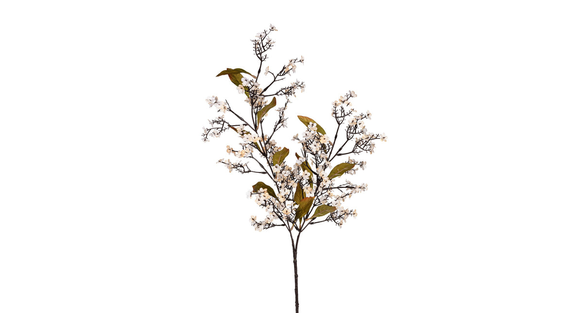 Lantana l80cm creme