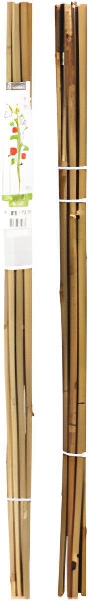 Pro garden plantenstokken - 10x - bamboe - h79 cm - plantensteun - bamboestokken tonkinstokken
