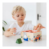 Bambolino nijntje houten vormenstoof. 3+