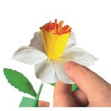 Clementoni create your flowers - narcissus
