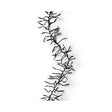 Led cluster lights zwart warm wit l.260cm | 3 stuks