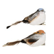 Vogel foam op clip 2col ass | 4 stuks