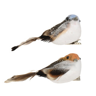 Vogel foam op clip 2col ass | 4 stuks
