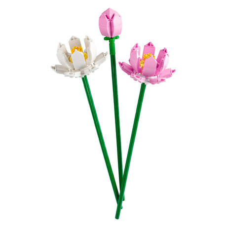 Lego iconic lotusbloemen - botanical collection - 40647