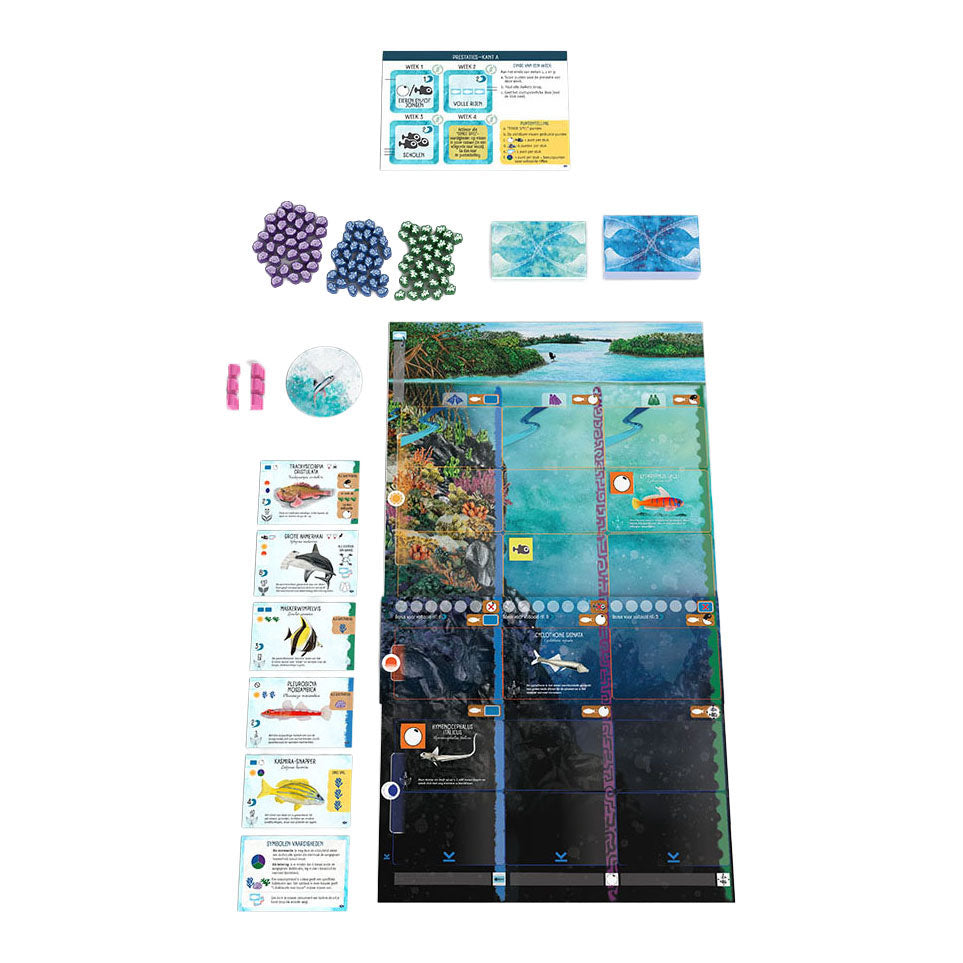 999games 999 games finspan uitbreiding: haaien en riffen bordspel (uitbreiding, nederlands, 1 - 5 spelers, 45 minuten, vanaf 10 jaar)
