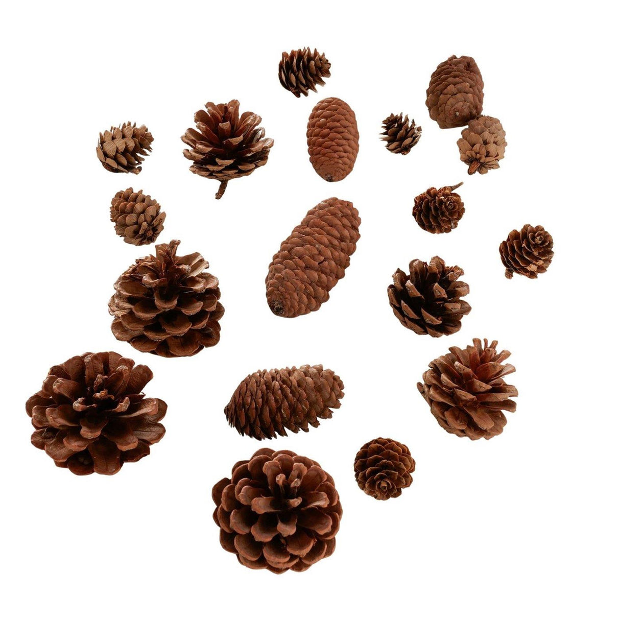 Boltze home decoratief strooisel coney 18-delig dennenappel 140 g bruin