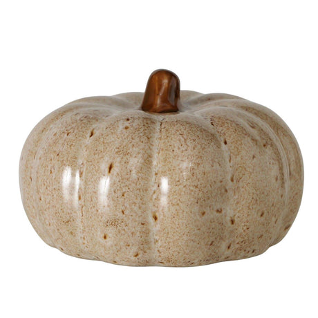 Boltze home decoratieve pompoen bego h6cm steengoed veelkleurig beige