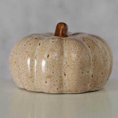 Boltze home decoratieve pompoen bego h6cm steengoed veelkleurig beige