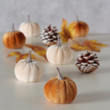 Boltze home decoratief strooisel samtling 10-delig mix dennenappel pompoen polystyreen polyester beigecrã¨mewit