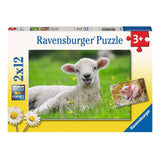 Ravensburger - Farm Animals Puzzle 2x12 Pièces