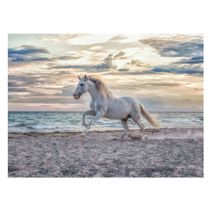 Ravensburger Jigsaw Puzzle Horse en la playa, 500 °.