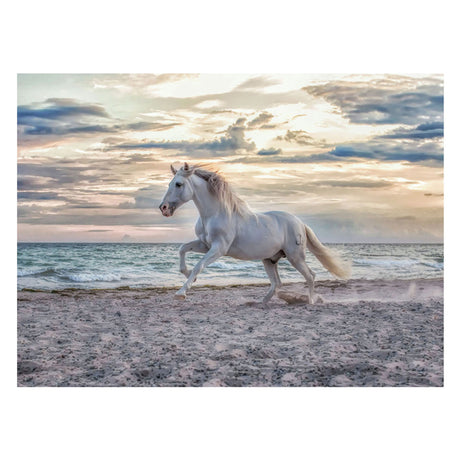 Ravensburger puzzel paard strand - 500 stukjes legpuzzel dieren.