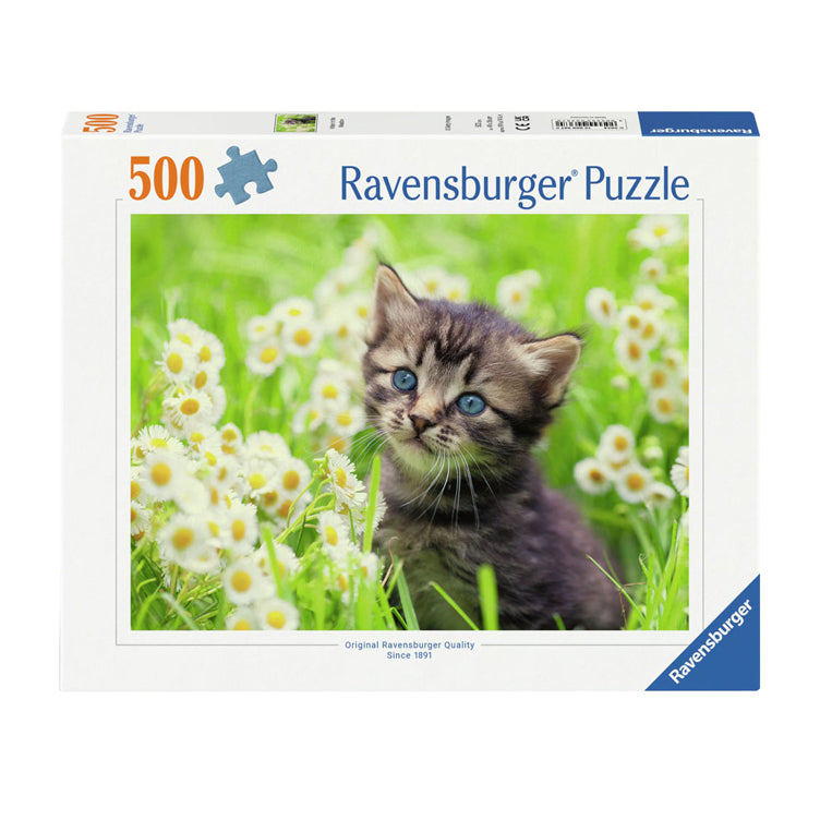 Ravensburger Jat i engen, 500.