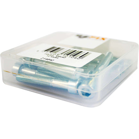Bofix inbusbout m6x40 verzinkt (12st)
