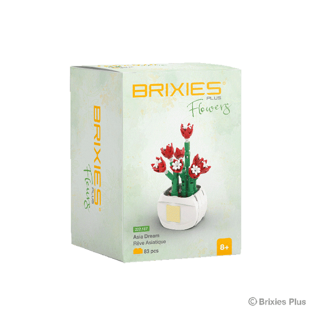 Oku brixies plus flower asia dream bouwsteentjes