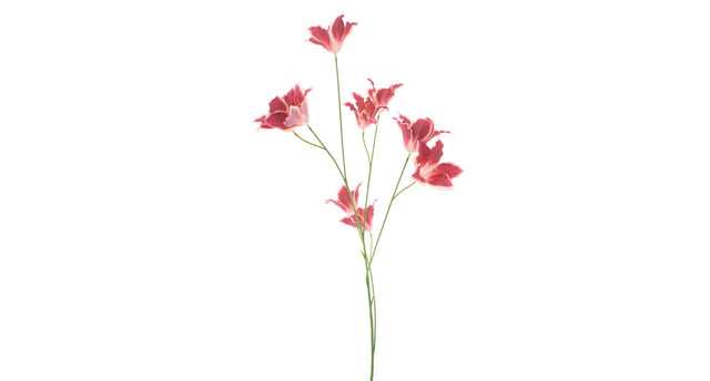 Wild lily spray red 86cm