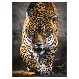 Clementoni Puzzle Jaguar, 1000st.