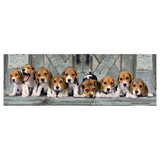 Cleronni Panorama Puzzle Beagles, 1000st.